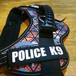 Arnes Police k9 talla M 