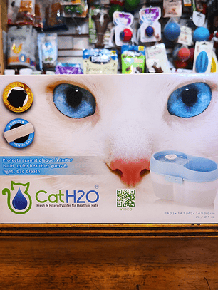 Fuente de agua Cat H20