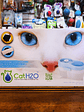Fuente de agua Cat H20 - Miniatura 1