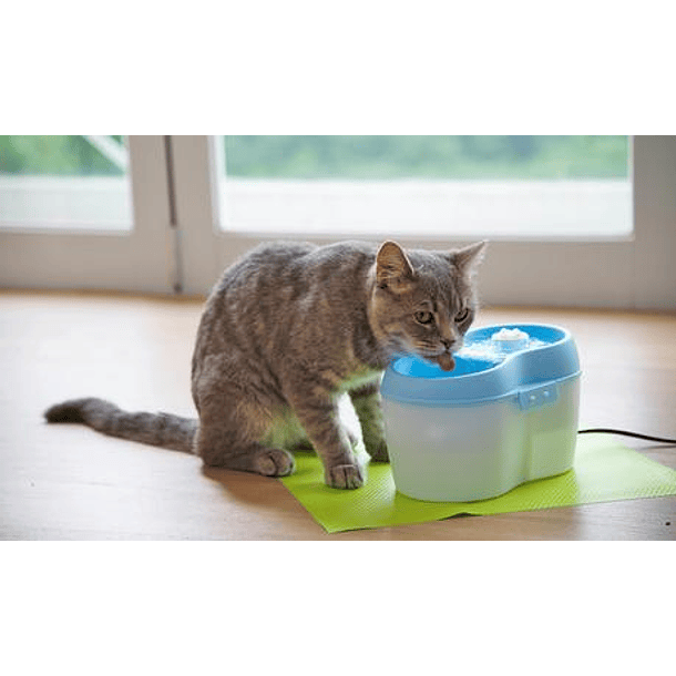 Fuente de agua Cat H20 2
