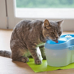 Fuente de agua Cat H20