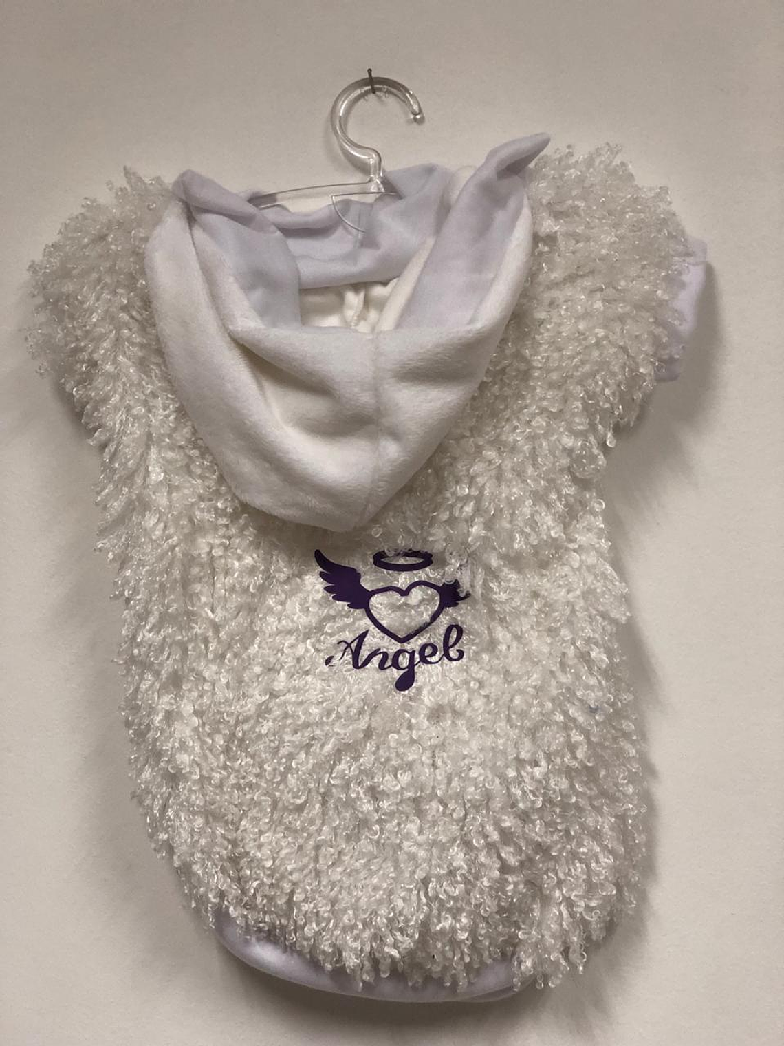 Ropa fashion perrita talla M 8