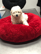 Camas redondas esponjosas talla M - Miniatura 2