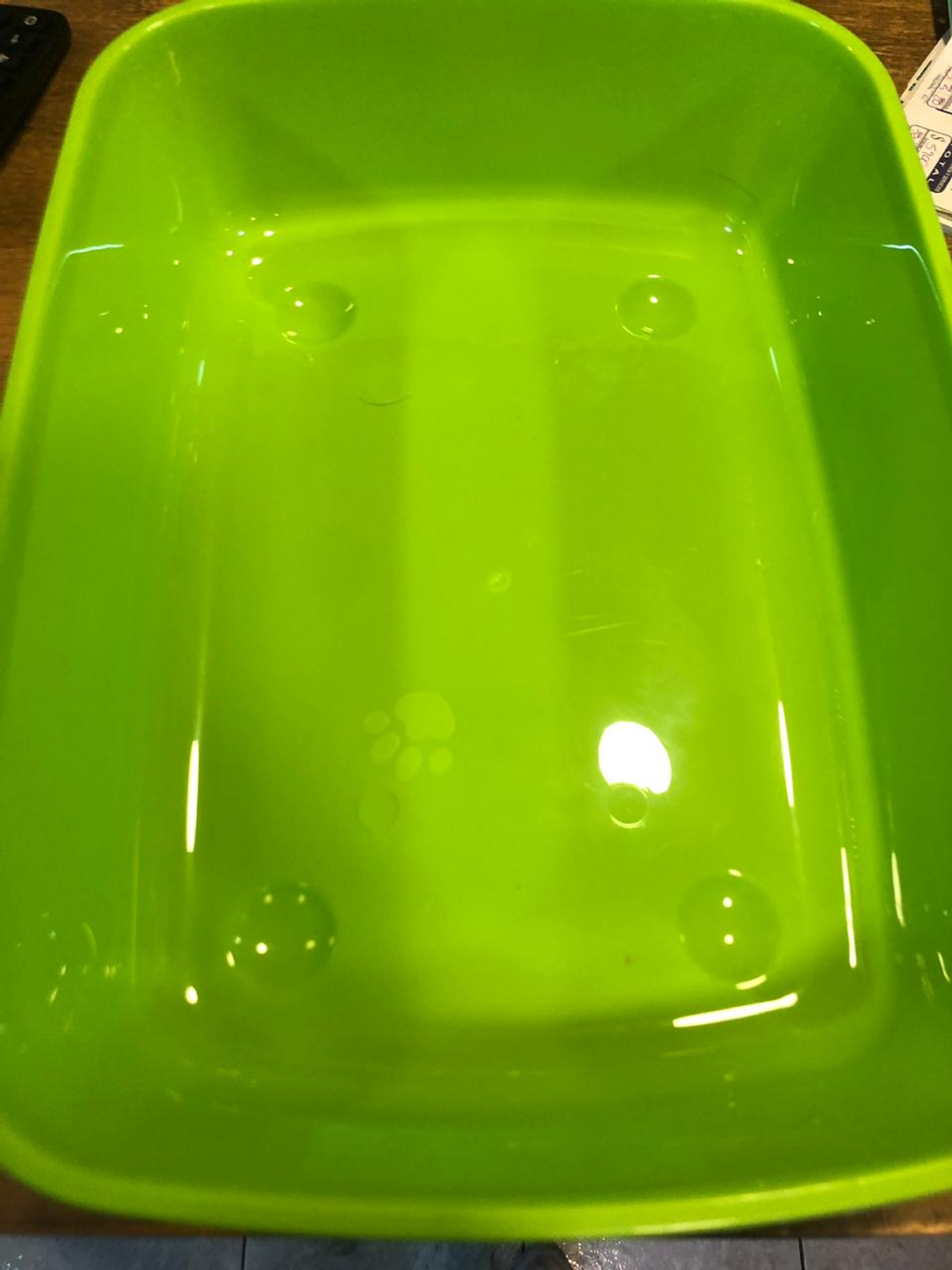 Baño Cerrado tamaño grande  para Gatos 2