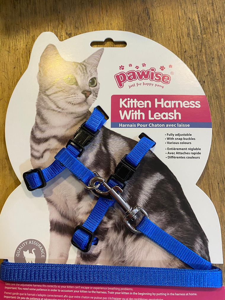Arnés gato pawise  1