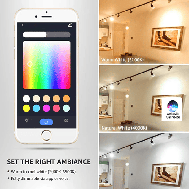 Ampolleta Inteligente Wifi, Homekit, Alexa, Google. (X Mayor) 3