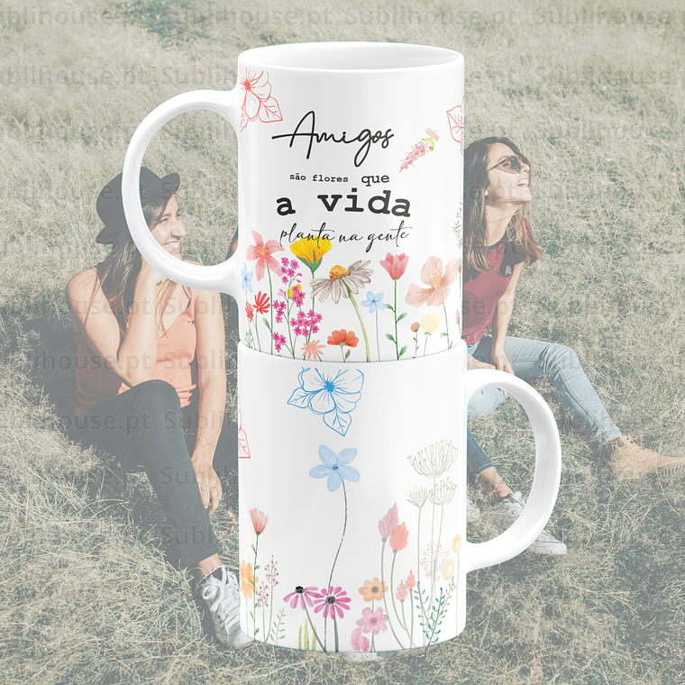 Amigos são Flores 1