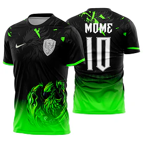 Arte Vetor Camisa Interclasse fenix Mod-723