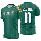 Arte Vetor Camisa Africa do sul visita 2026 1