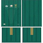 Arte Vetor Camisa Africa do sul visita 2026 2