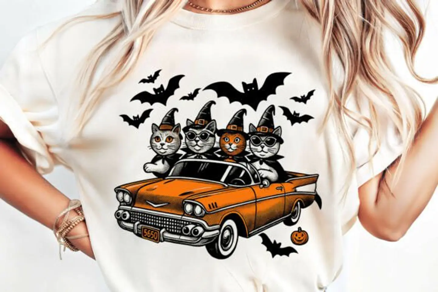 Gatos no Carro  1