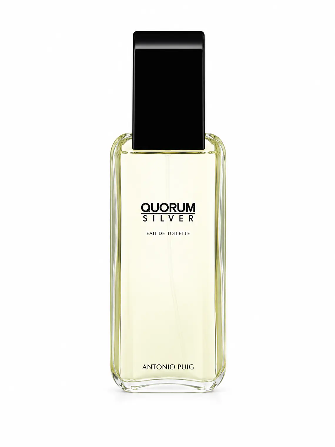 Quorum Silver Antonio Puig Edt 100 ml 4