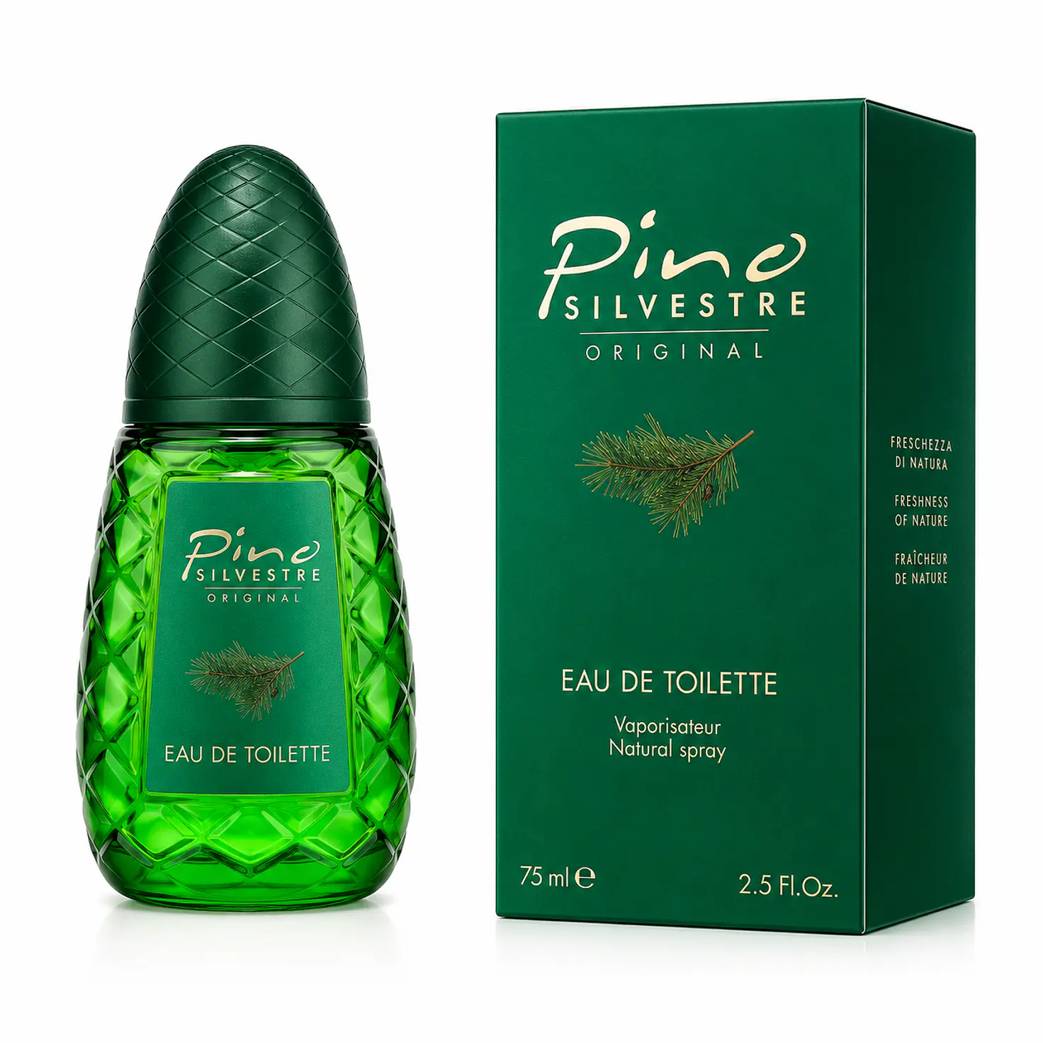Pino Silvestre