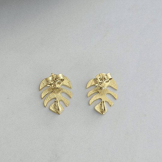 BASE MINI FILODENDRO ORO