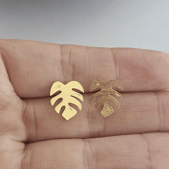 BASE MINI FILODENDRO ORO