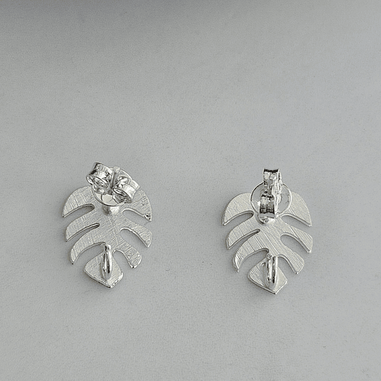 BASE MINI FILODENDRO PLATA