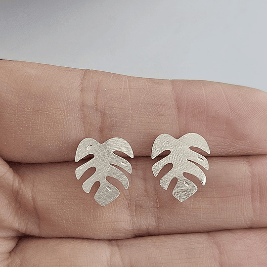 BASE MINI FILODENDRO PLATA