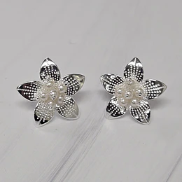 AROS HAWAIANA PERLAS 27MM ENCH.PLATA