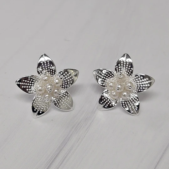 AROS HAWAIANA PERLAS 27MM ENCH.PLATA