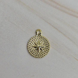 MINI MEDALLA ESTRELLA GUÍA 10,5MM ENCH.ORO