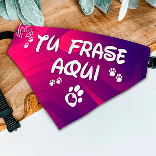 Bandana con Frases Mágicas Personalizada | Mascotas