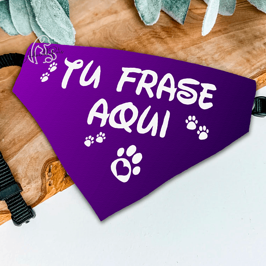 Bandana con Frases Mágicas | Mascotas - Lila 1