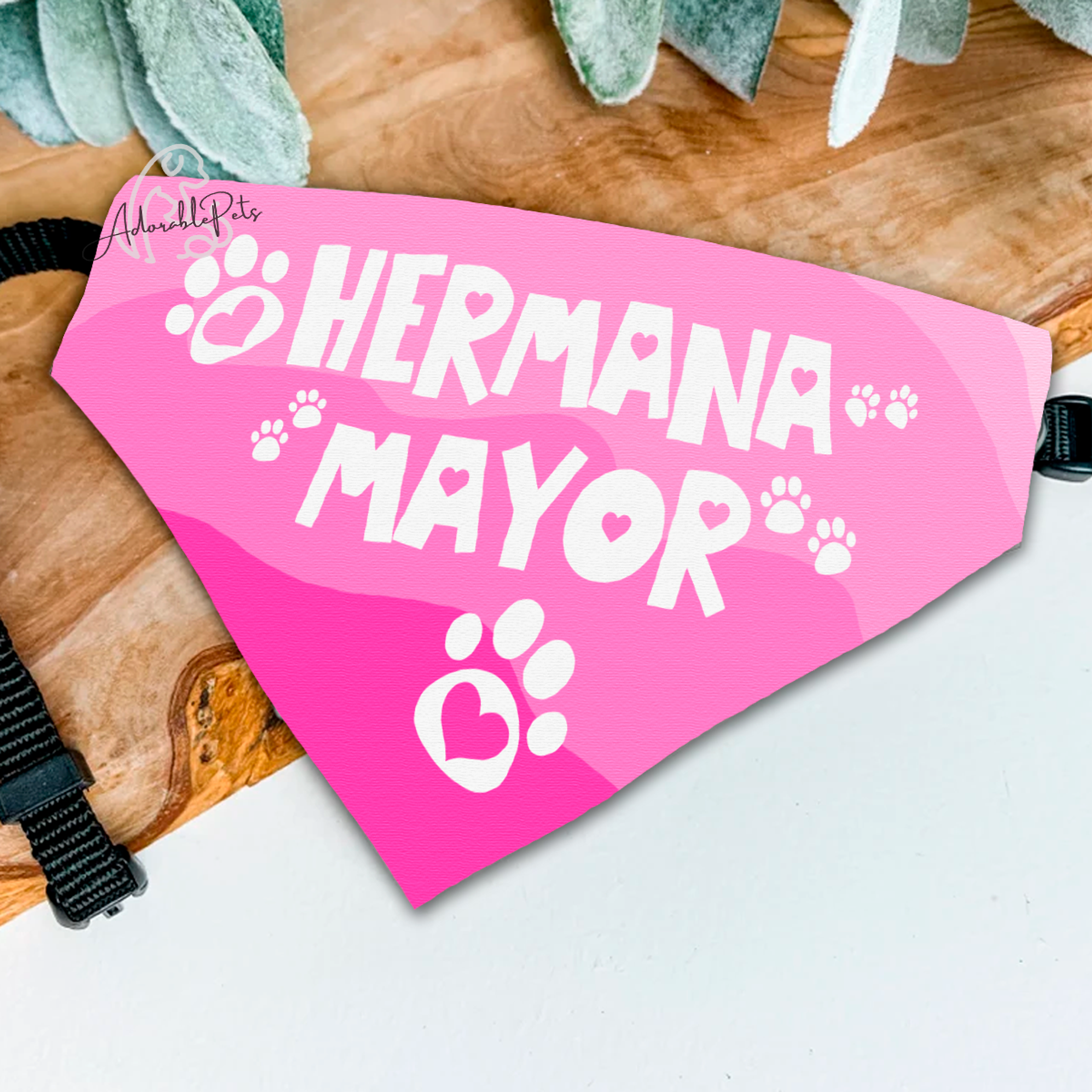 Bandana con Frases Mágicas Personalizada | Mascotas 11