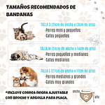 Bandana Personalizada Mascotas | Perros & Gatos