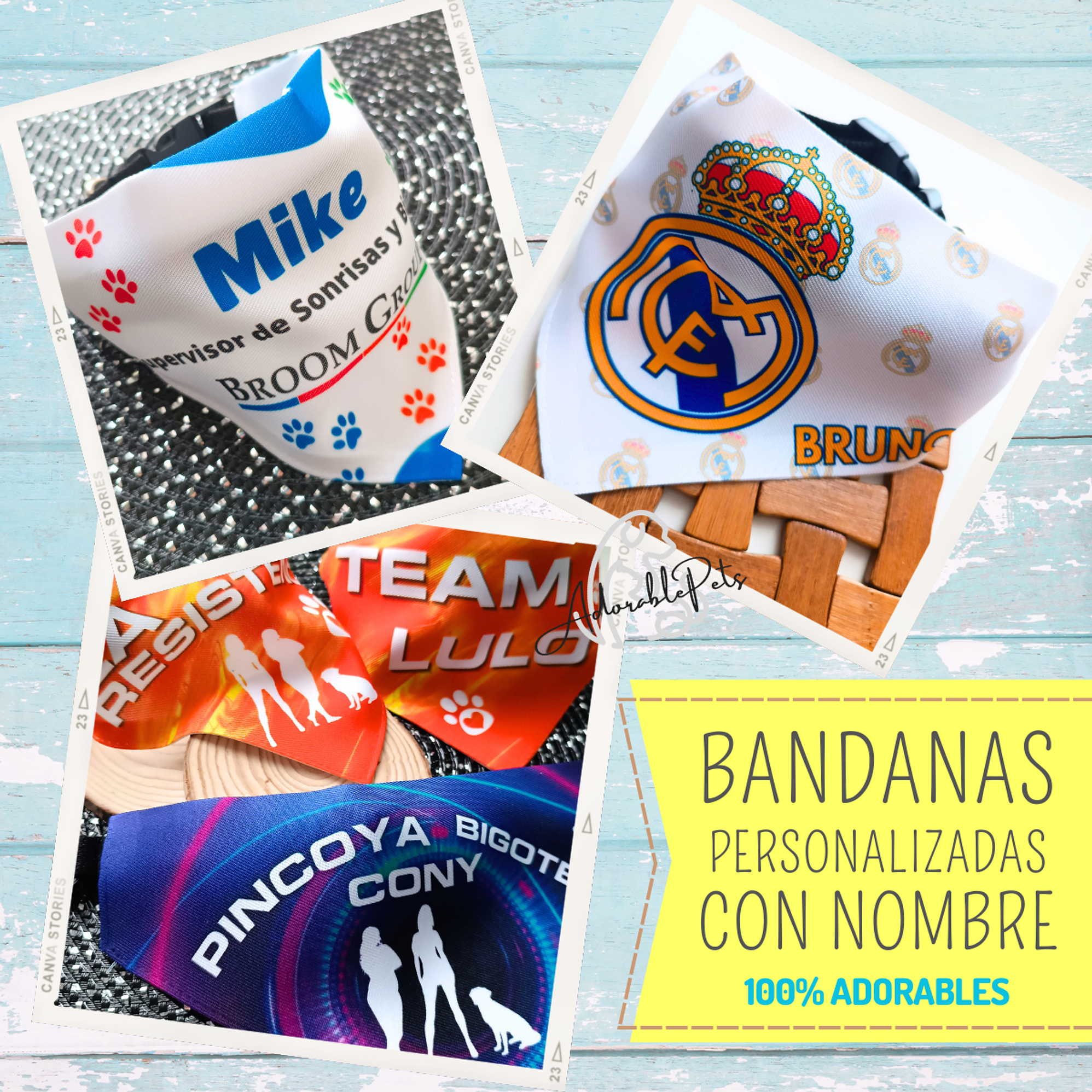 Bandana Personalizada Mascotas | Perros & Gatos 4