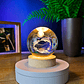 Lámpara Delfines Bajo La Luna | Bola de Cristal LED - Miniatura 2