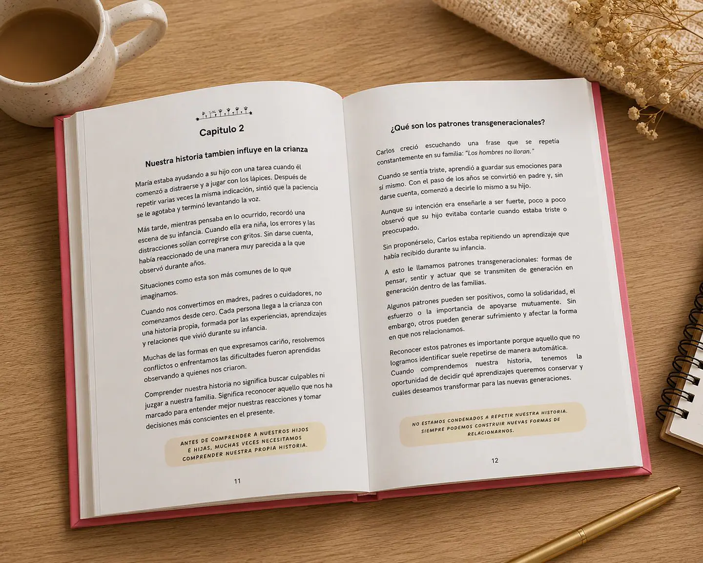 Acompañar para crecer - manual para padres - Material Terapéutico Imprimible 3