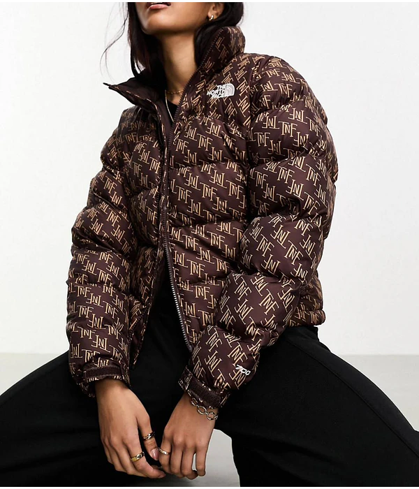 Chaqueta de pluma 1996 retro nuptse mujer