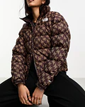 Chaqueta de pluma 1996 retro nuptse mujer