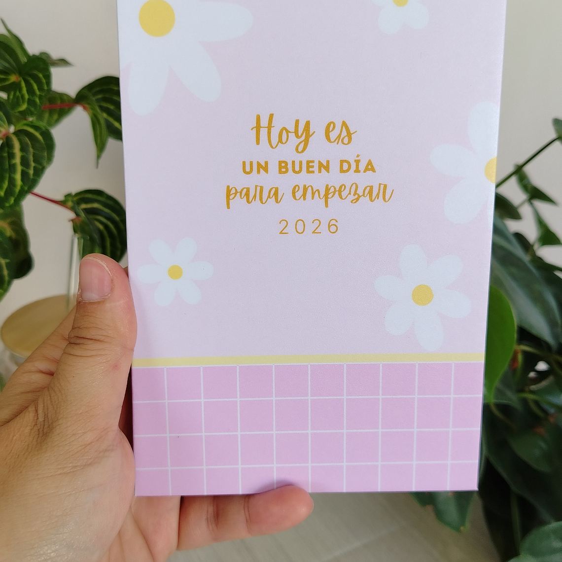 Set regalo Mujer #4 3