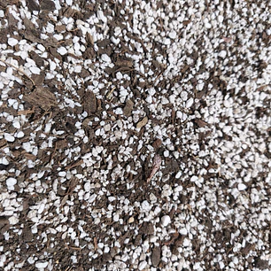 SUSTRATO PREMIUM PARA SUCULENTAS