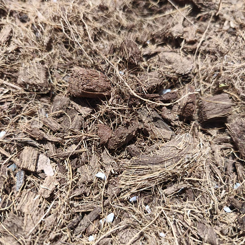Fibra de coco - 2 LITROS 