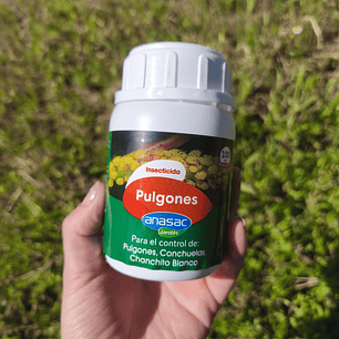Pulgones Anasac 