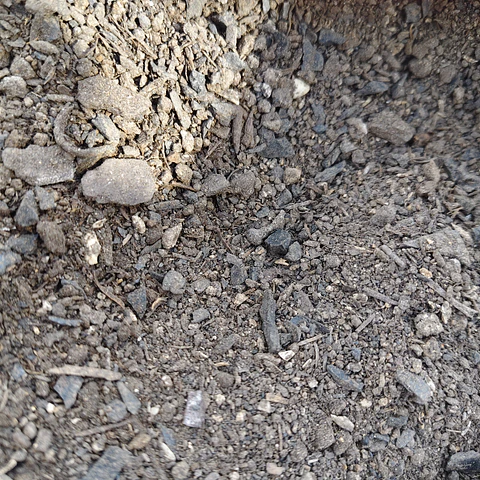 Bokashi - Fertilizante orgánico 