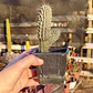 Hoodia Gordonii - Miniatura 2