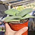 Crassula Falcata