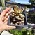 Kalanchoe Chocolate