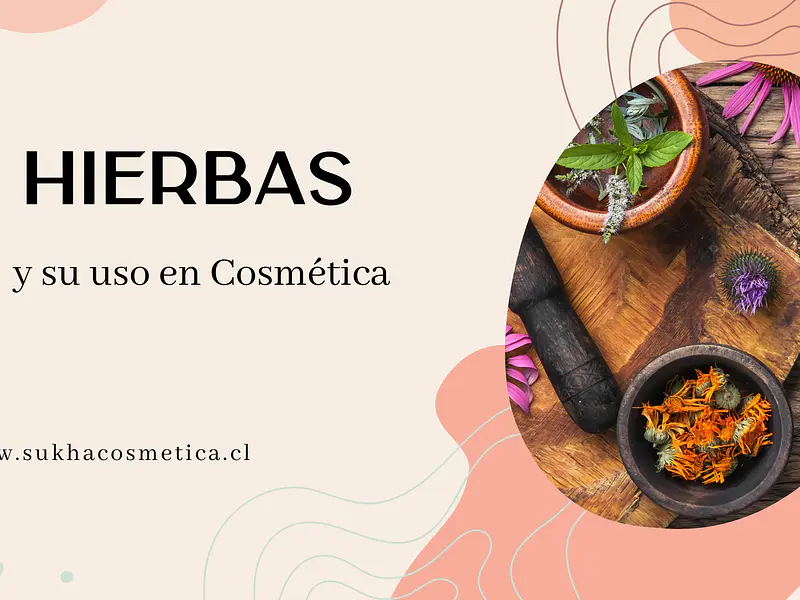 5 hierbas y su uso cosmético 