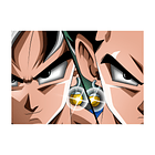 Cuadro Metal Goku Vegeta Aretes Potara 1