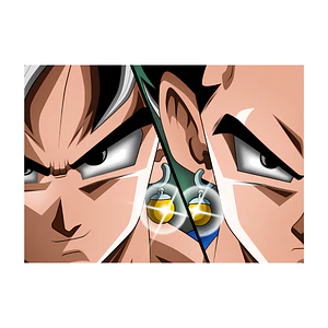 Cuadro Metal Goku Vegeta Aretes Potara