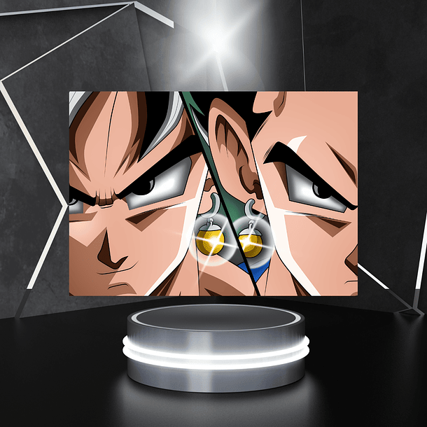 Cuadro Metal Goku Vegeta Aretes Potara 5