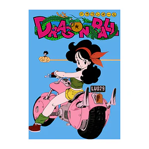 Cuadro en Aluminio Dragon Ball Launch