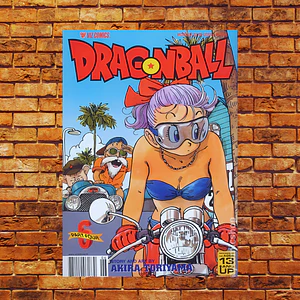 Cuadro Metal Portada Comic Dragon Ball