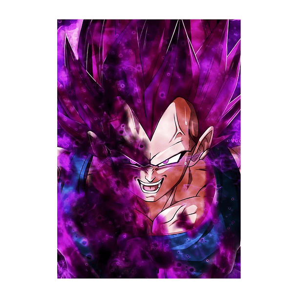 Cuadro Vegeta Ultra Ego Maximo Poder