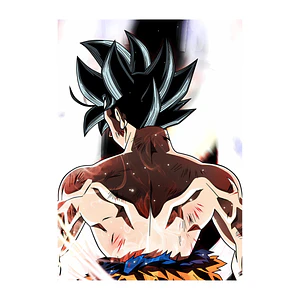 Cuadro Aluminio Goku Base Maximo Ki
