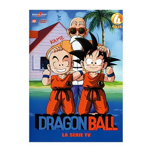 Cuadro Metal Comic Dragon Ball Inicios
